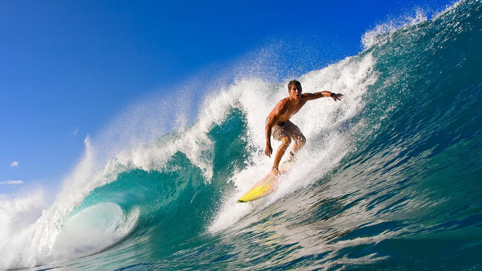 大学生体育创业项目获得风险投资支持，大学生体育创业计划书怎么写